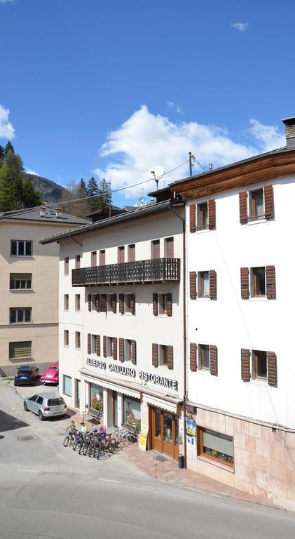 Albergo Cavallino Pieve di Cadore Exterior foto